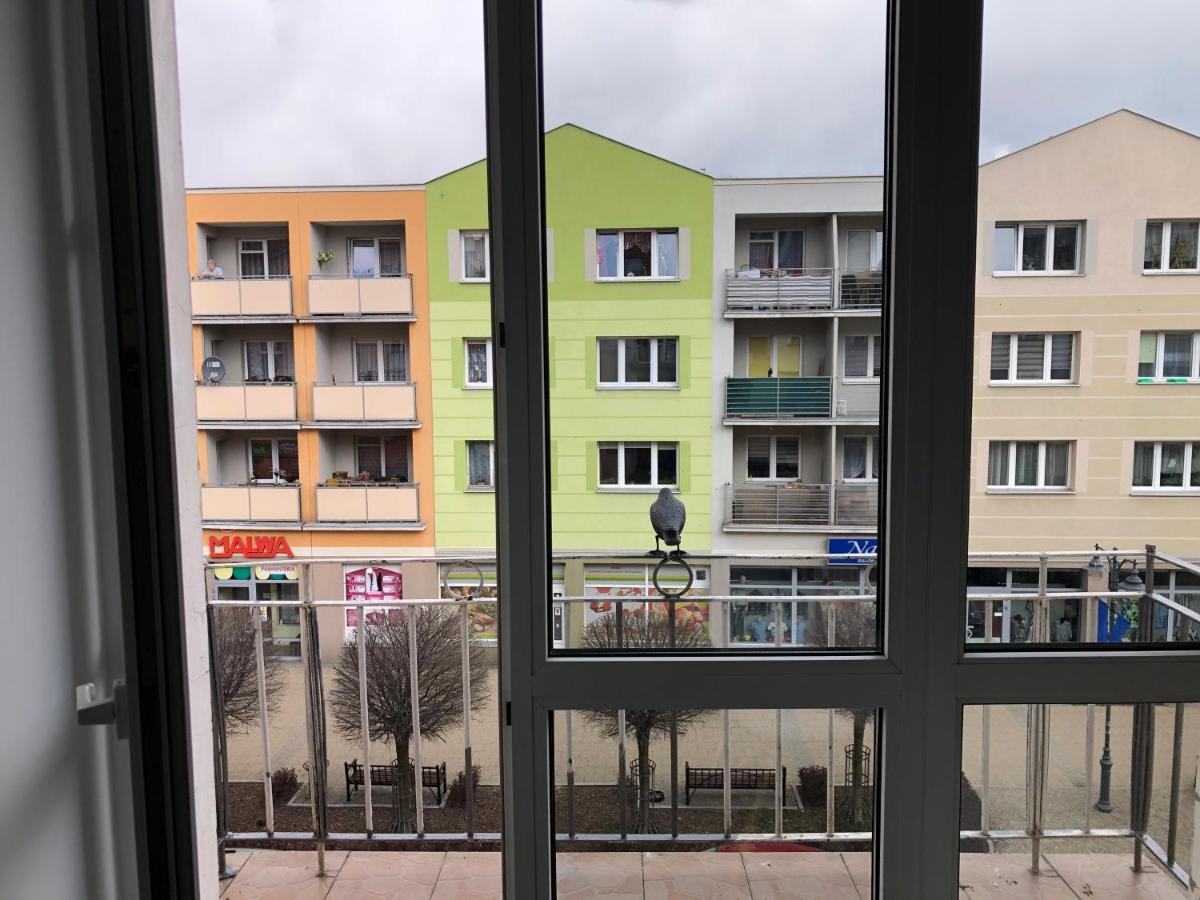 Apartament Kosciuszki マルボルク エクステリア 写真